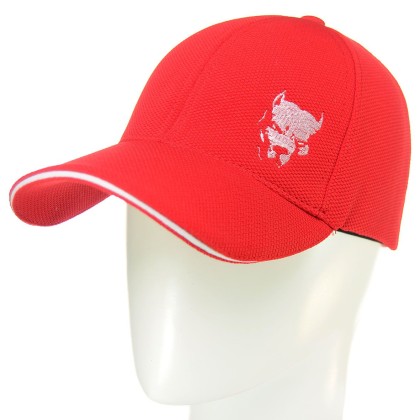 Бейсболка BSH19794 красный "CHRG" Бейсболка BSH19794 красный "CHRG"