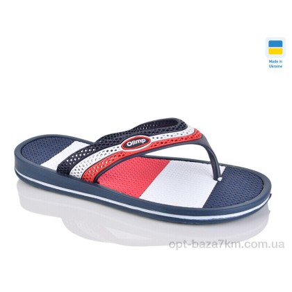 Вьетнамки женские "Lot Shoes" 421-2 синій-біл-червон., (р.р. 36-41), Украина, от 8 шт. Вьетнамки женские "Lot Shoes" 421-2 синій-біл-червон., (р.р. 36-41), Украина, от 8 шт.