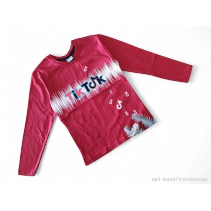 Батник дитячий "Kids-modnik" 2108 червоний, (р.р. 9-12), Туреччина, від 4 шт. Батник дитячий "Kids-modnik" 2108 червоний, (р.р. 9-12), Туреччина, від 4 шт.