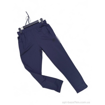 Спортивні штани "Verton" N012-10 navy, (р.р. S-2XL), Туреччина, від 5 шт. Спортивні штани "Verton" N012-10 navy, (р.р. S-2XL), Туреччина, від 5 шт.