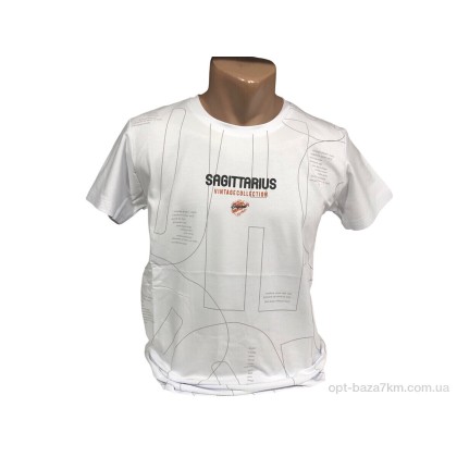 Футболка чоловіча "TurkishBrend" C004 білий, (р.р. M-2XL), Туреччина, від 4 шт. Футболка чоловіча "TurkishBrend" C004 білий, (р.р. M-2XL), Туреччина, від 4 шт.