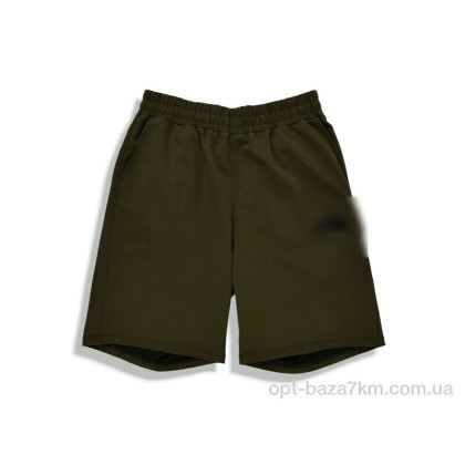 Шорти чоловічі "Денис спорт" 703TNF green, (р.р. 50-58), Туреччина, від 5 шт. Шорти чоловічі "Денис спорт" 703TNF green, (р.р. 50-58), Туреччина, від 5 шт.