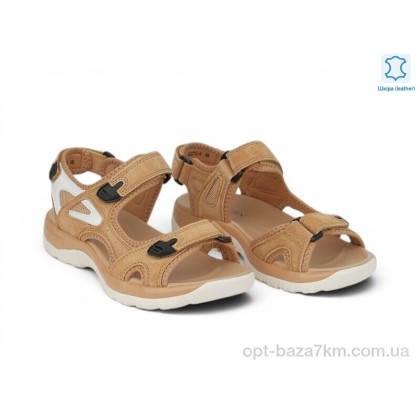 Босоніжки жіночі "Allshoes" 208353, (р.р. 36-41), Китай, від 8 шт. Босоніжки жіночі "Allshoes" 208353, (р.р. 36-41), Китай, від 8 шт.