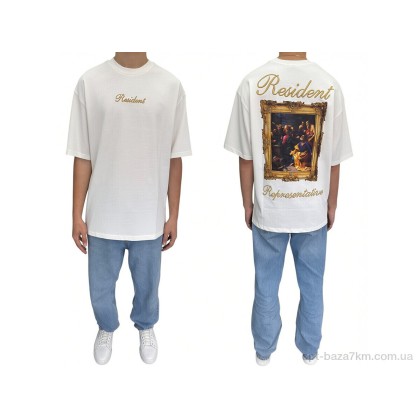 Футболка мужская "I8denim" 90554 ekru, (р.р. S-XL), Турция, от 5 шт.