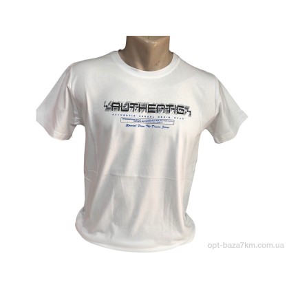 Футболка чоловіча "TurkishBrend" C009 білий, (р.р. M-2XL), Туреччина, від 4 шт. Футболка чоловіча "TurkishBrend" C009 білий, (р.р. M-2XL), Туреччина, від 4 шт.