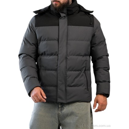 Куртка чоловіча "3033" BL25-JK3099 grey, (р.р. M-3XL), Китай, від 5 шт.
